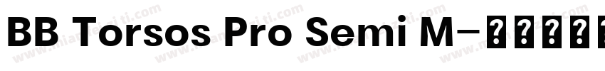 BB Torsos Pro Semi M字体转换